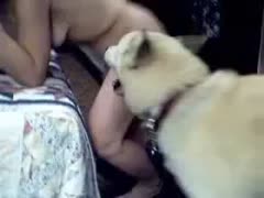 A bored Russian sex worker decides to enjoy herself with her pet.